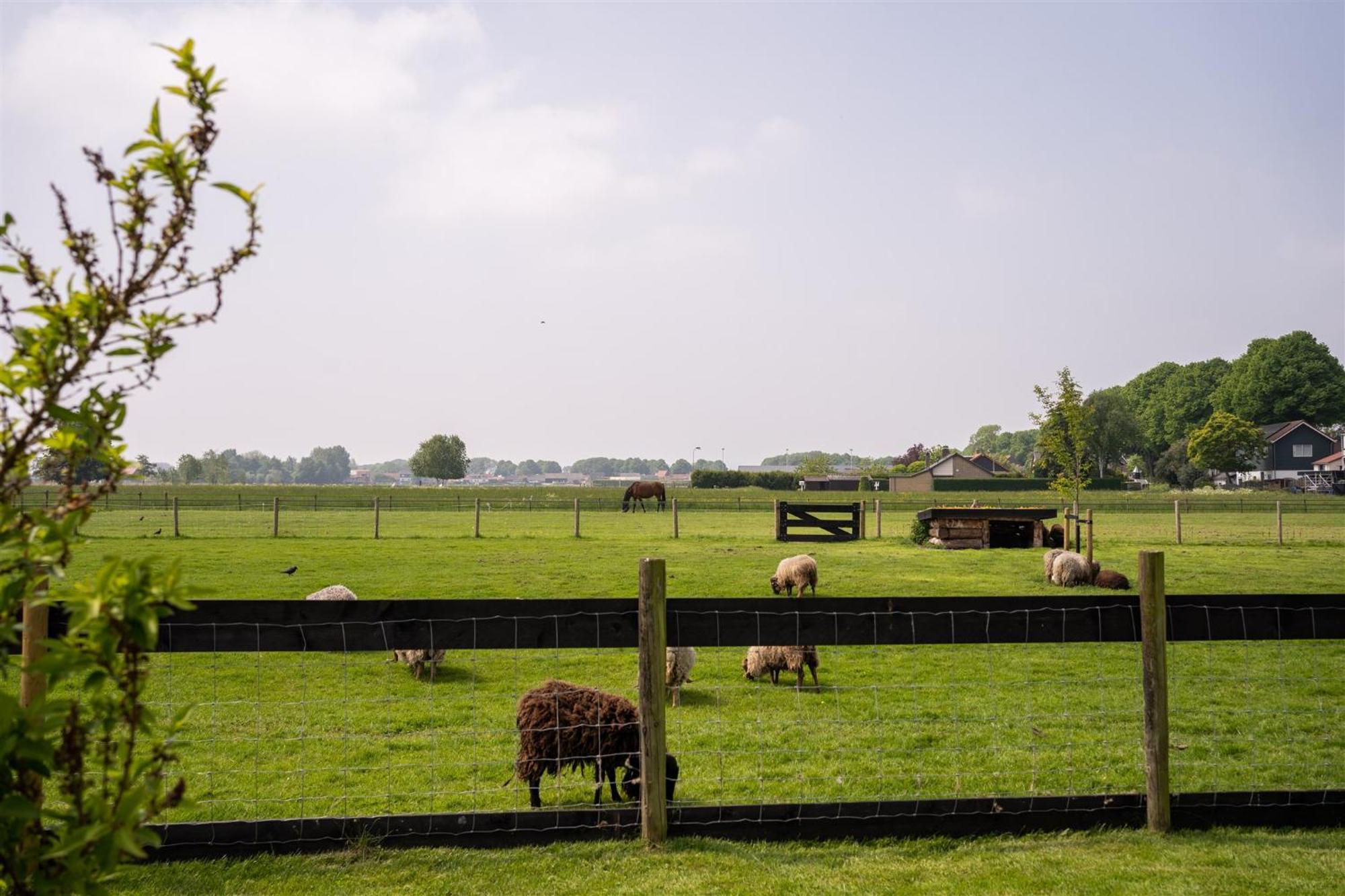 Vakantiewoning Le Garaazje 'S-Gravendeel Esterno foto