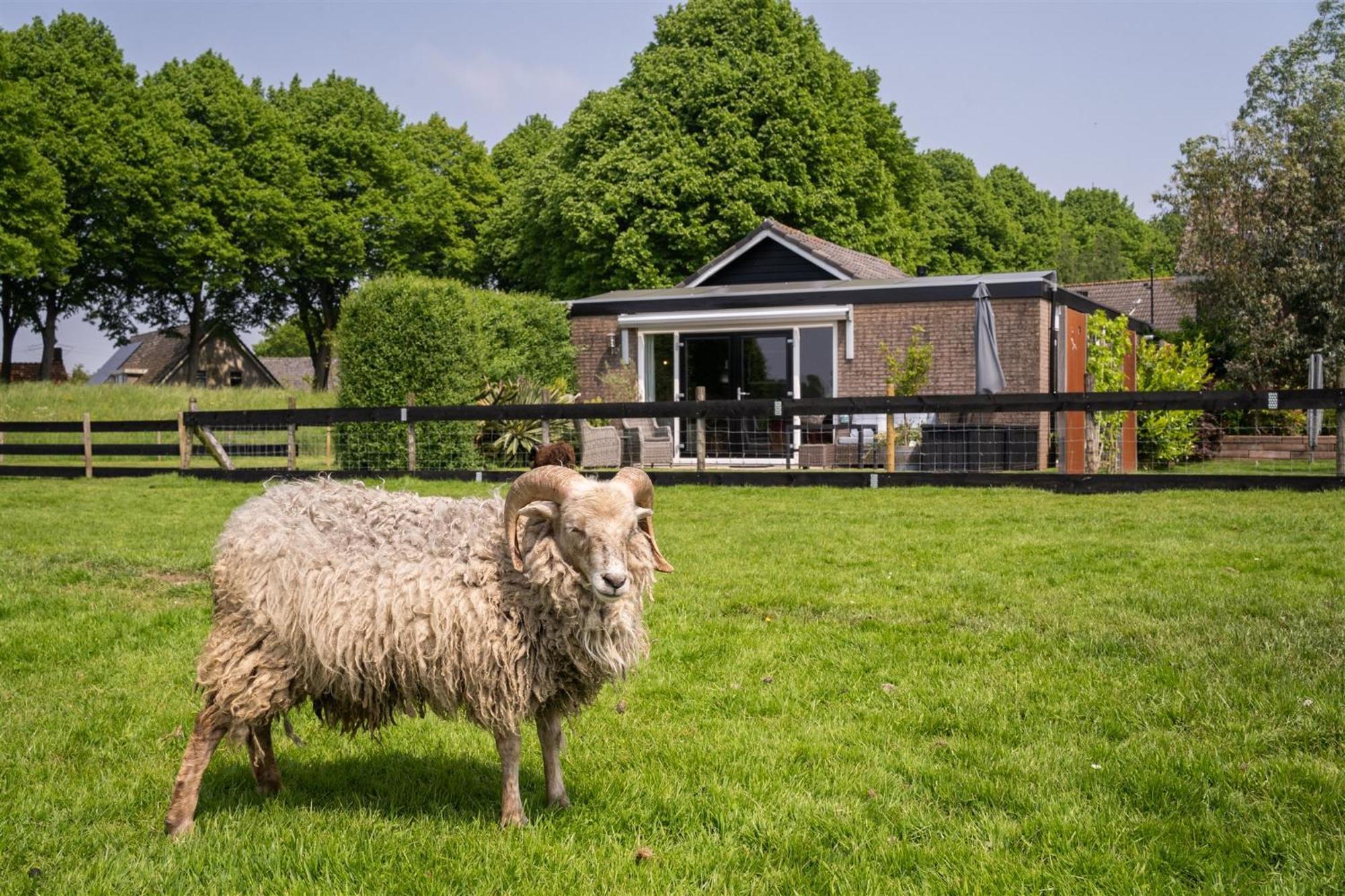 Vakantiewoning Le Garaazje 'S-Gravendeel Esterno foto