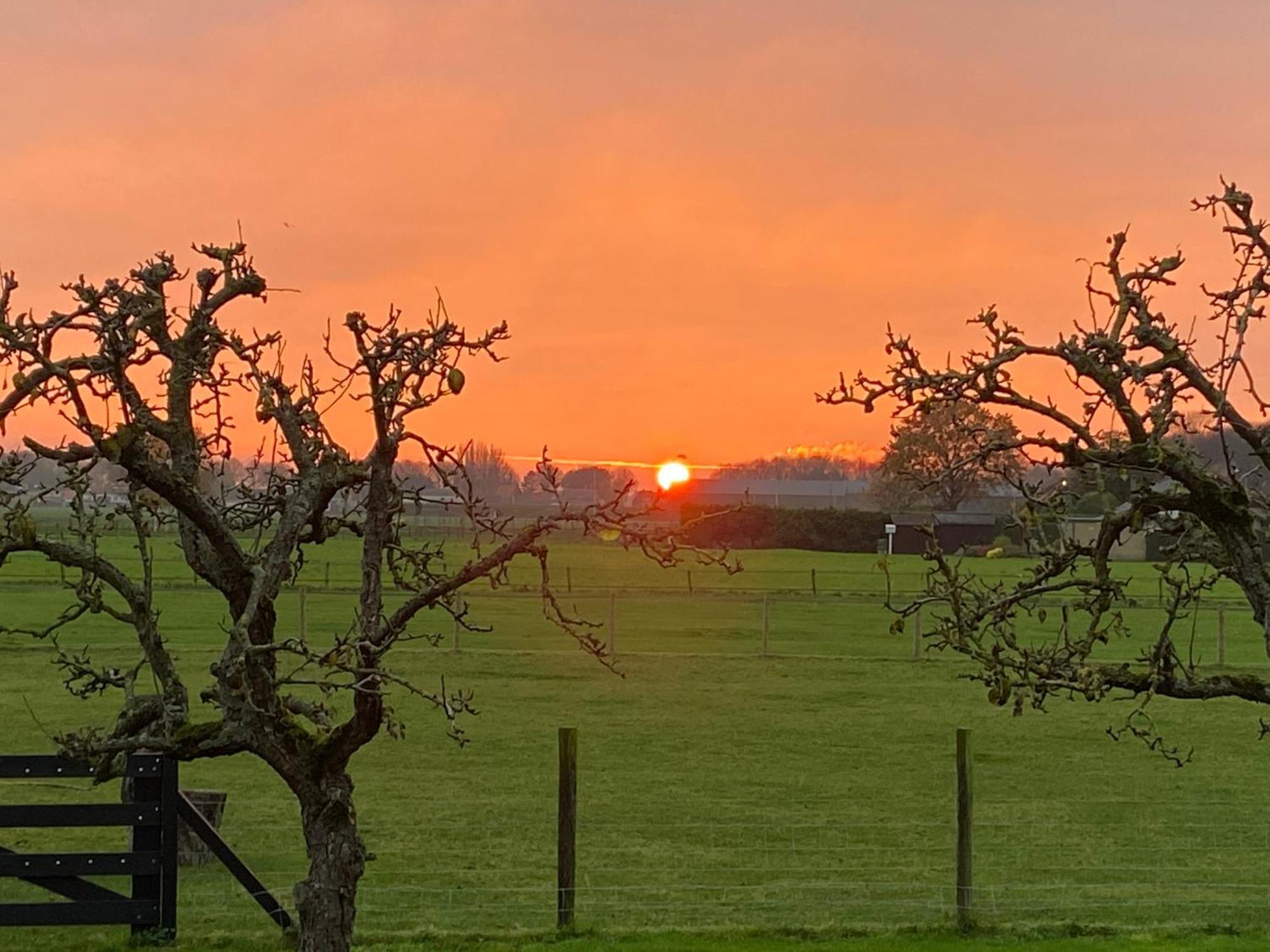 Vakantiewoning Le Garaazje 'S-Gravendeel Esterno foto
