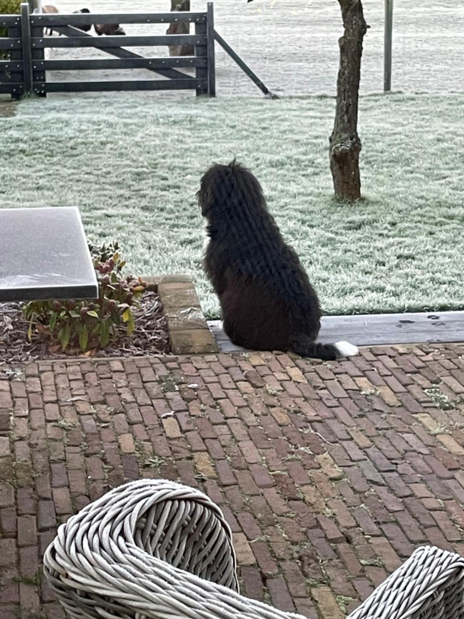 Vakantiewoning Le Garaazje 'S-Gravendeel Esterno foto
