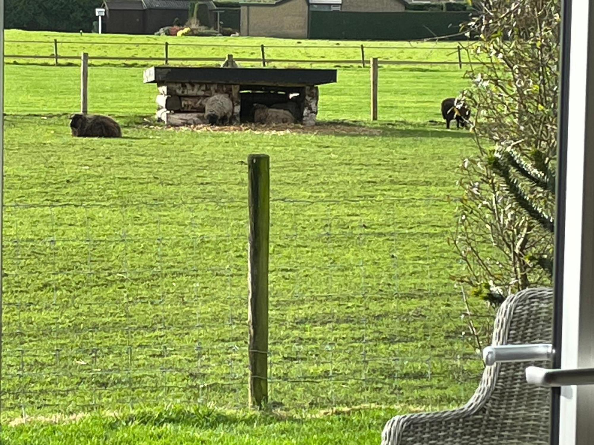 Vakantiewoning Le Garaazje 'S-Gravendeel Esterno foto