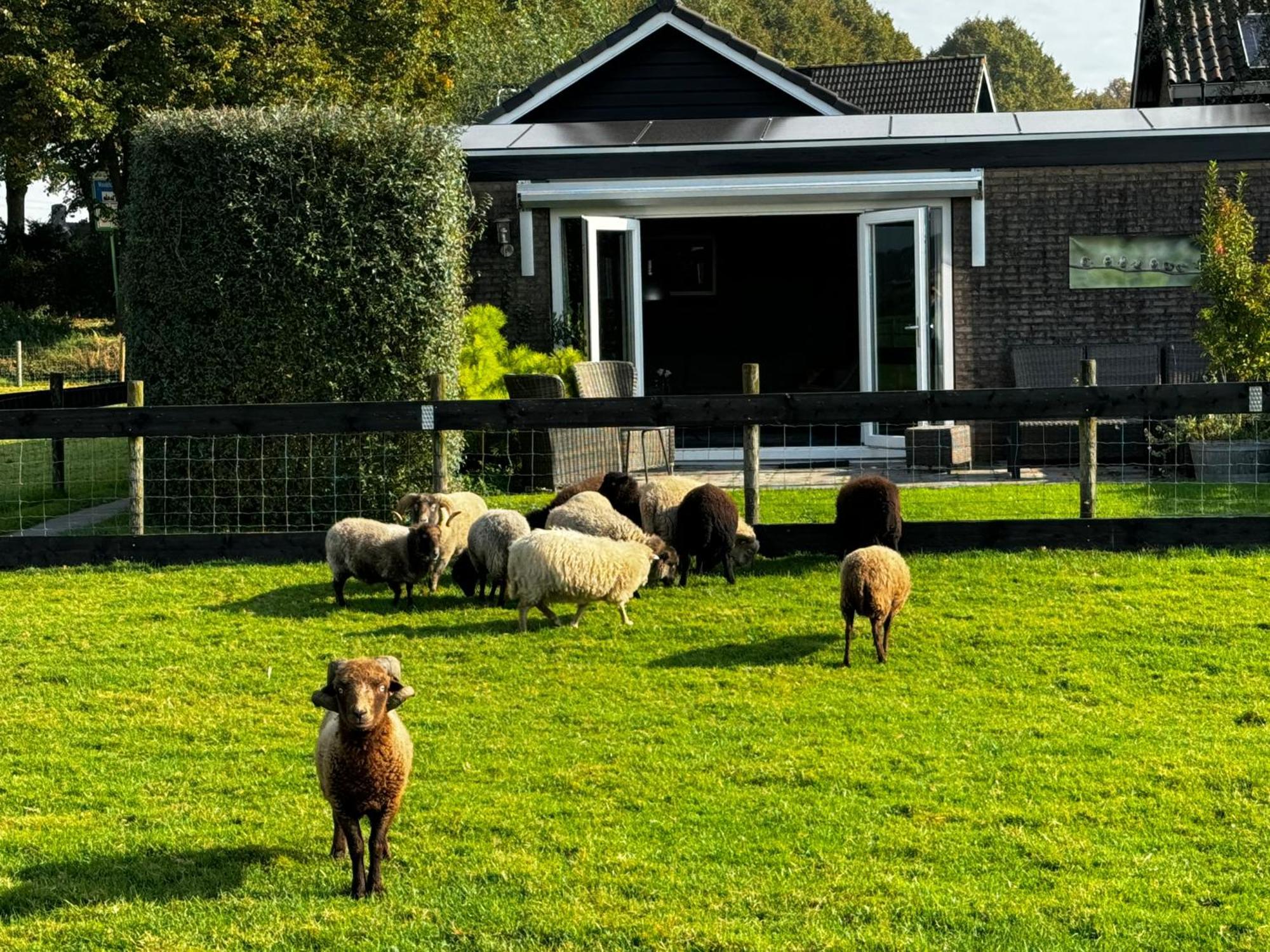 Vakantiewoning Le Garaazje 'S-Gravendeel Esterno foto