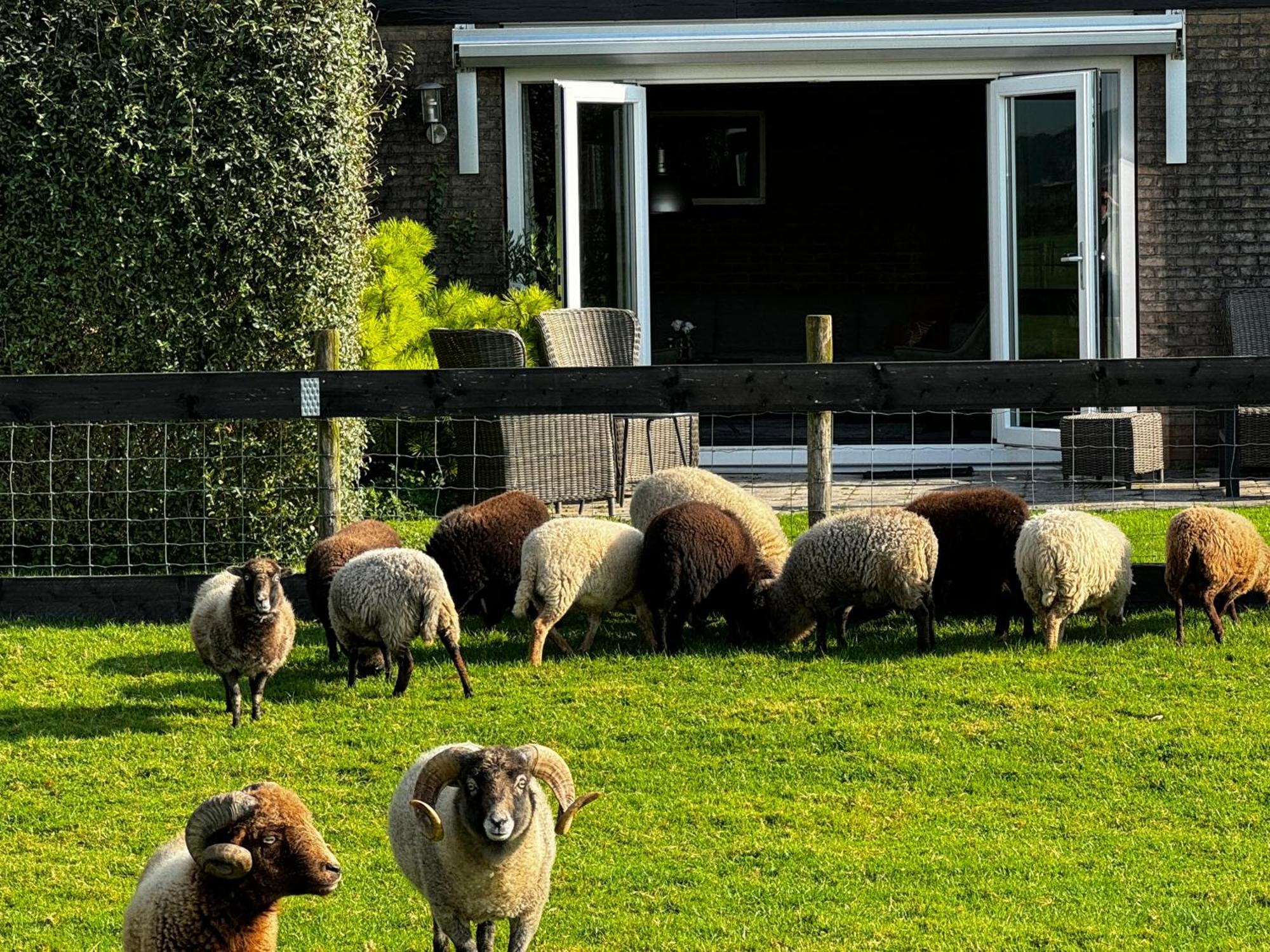 Vakantiewoning Le Garaazje 'S-Gravendeel Esterno foto