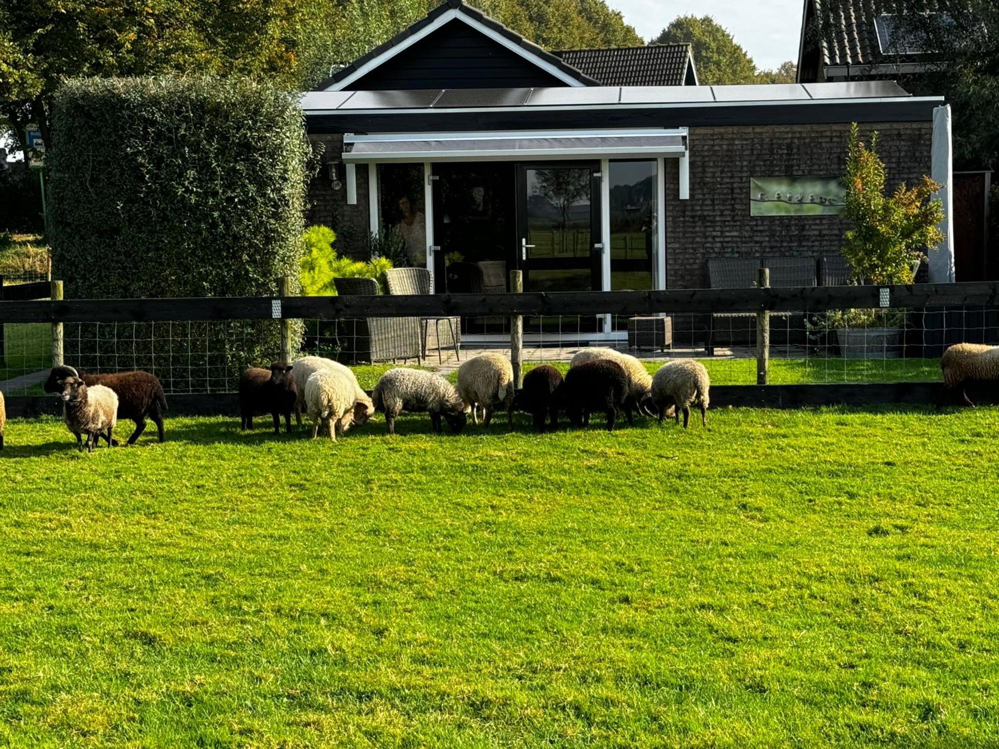 Vakantiewoning Le Garaazje 'S-Gravendeel Esterno foto